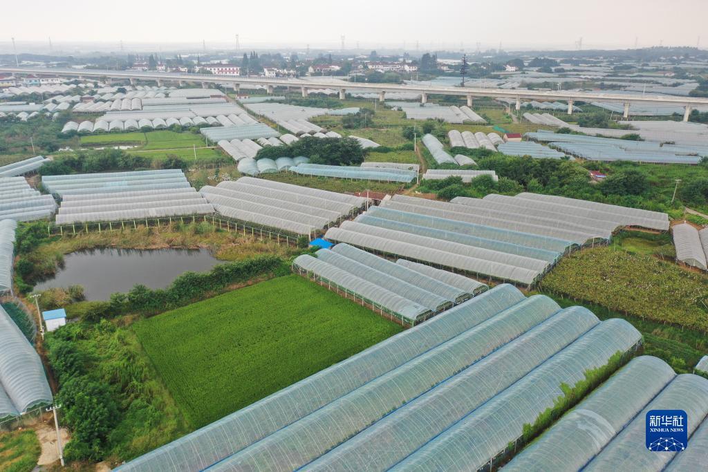 九五至尊老品牌值得